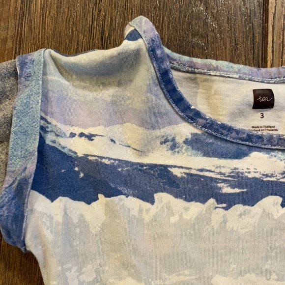 Tea Collection - Picture 4 of 4